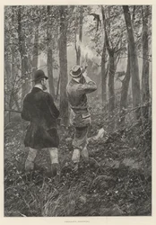 Pheasant-Shooting
